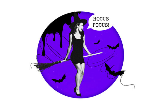 Full zine art image poster 3d banner collage of happy witch girl fly broom bat hocus pocus halloween celebration event autumn