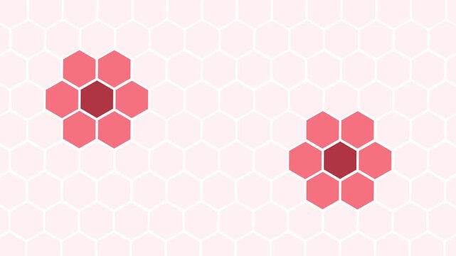 Minimalist hexagon clusters on mint honeycomb background animation