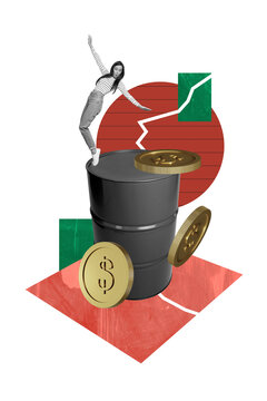 Artwork banner pop photo collage of astonished businesswoman stand oil barrel arrow regress inflation problem coin dollar loss