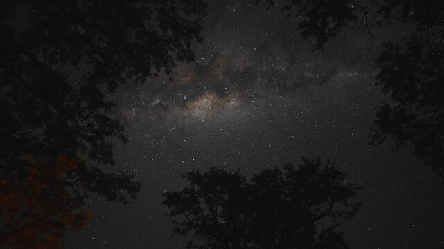 Starry sky. Beautiful Time-lapse of stars and Milky Way, night in Africa