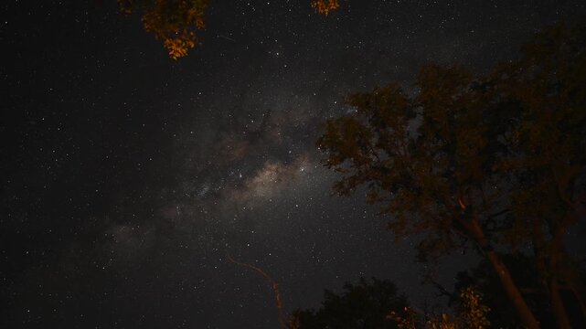 Starry sky. Beautiful Time-lapse of stars and Milky Way, night in Africa