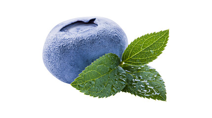 Fresh ripe blueberry with green leaves covered in water droplets © Sjoerd