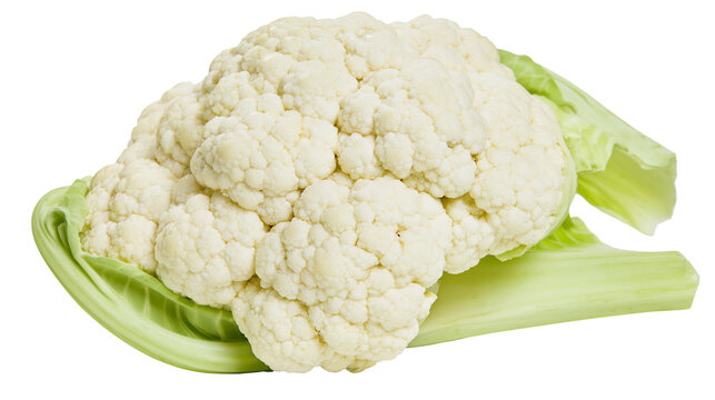 Fresh raw cauliflower head with vibrant green leaves