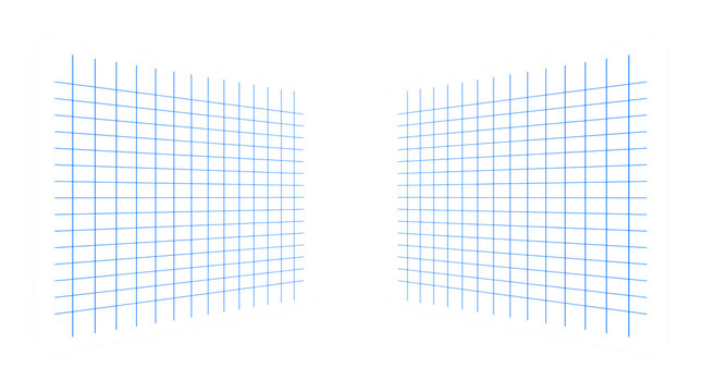 Two rectangular white paper sheets with blue grid lines, angled in perspective, isolated on a white background, for note taking concepts