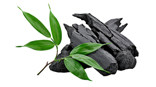 Natural black charcoal pieces with fresh green bamboo leaves