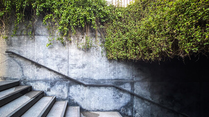 Fototapeta premium Modern outdoor concrete staircase with a minimalist handrail and lush green hanging vines on a textured wall, illustrating eco-friendly urban biophilic design.