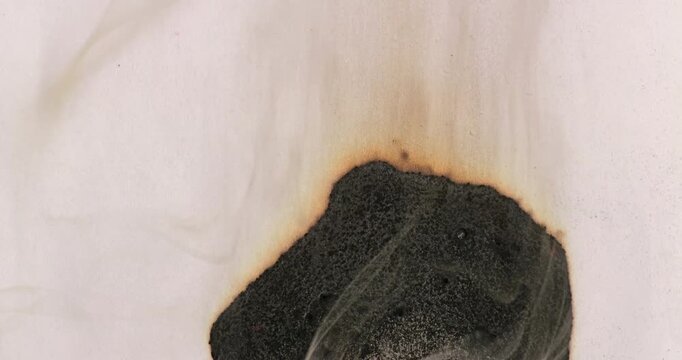 Paper Burns and Chars in Macro Green Screen View. Macro paper burning advances over green screen background. Scorched paper develops widening black edge with fine ash texture and smoke drifting above.