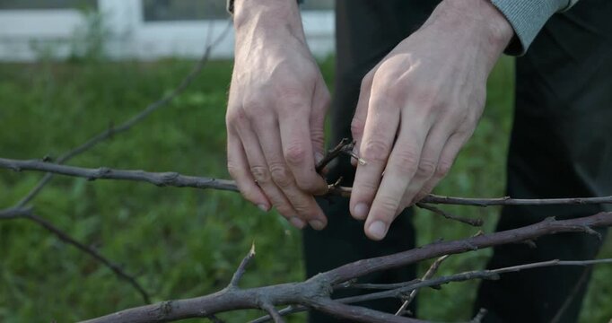 Close-up male hands break twigs, chop branches for firewood. 4K 10-b