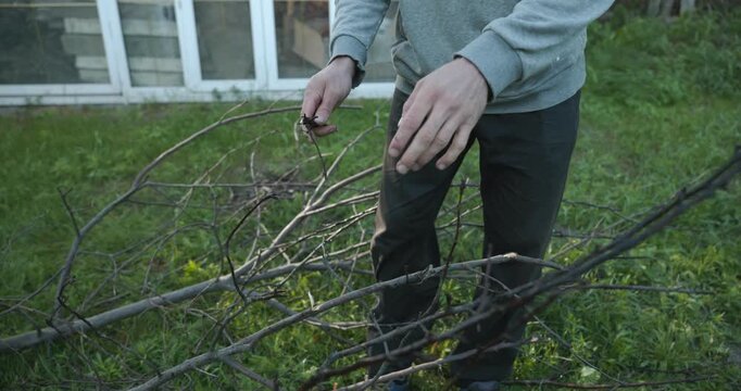 Close-up male hands break twigs, chop branches for firewood. 4K 10-b