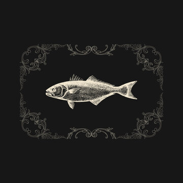 Vintage engraved fish inside ornate decorative border frame on dark background