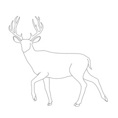 Deer buck line drawing vector,deer outline design image, reindeer line art illustration,deer walk line icon, antler  line drawing image,reindeer outline design vector, antler oneline de iicon © Hari