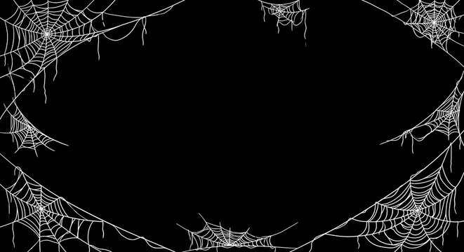 Detailed white spider webs creating a spooky oval frame on a solid black background, halloween design element
