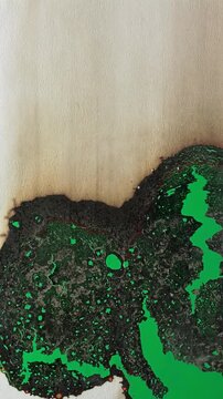 Macro Paper Burning and Charring on Green Screen. Paper burns in macro close up against green screen as black char spreads along its edge. Burning sheet darkens and curls revealing scorched texture.