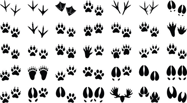Animal track footprint vector icon set featuring wild animal bird hoof and paw print black silhouettes.eps