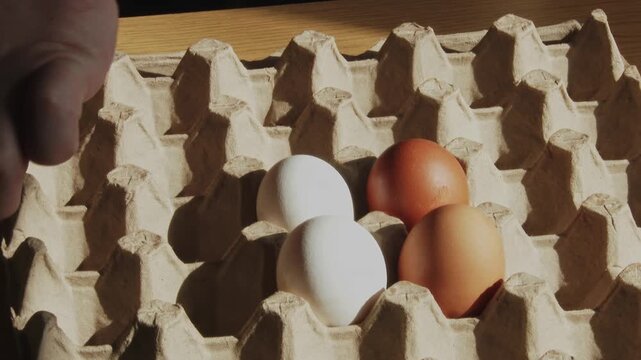 Hands removing brown and white eggs from a cardboard carton.