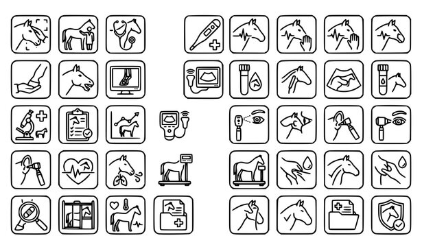 25 equine veterinary diagnostics and horse health vector line icon set