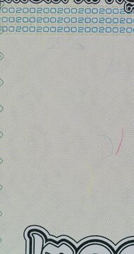 Sequence of Detailed Banknotes from Many Countries. Banknotes from various countries change rapidly revealing detailed portraits wildlife buildings and ornate currency designs.