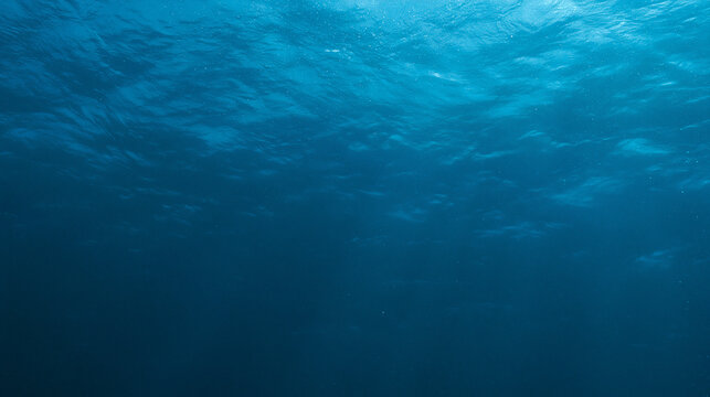 Underwater view looking up at sunlit ocean surface