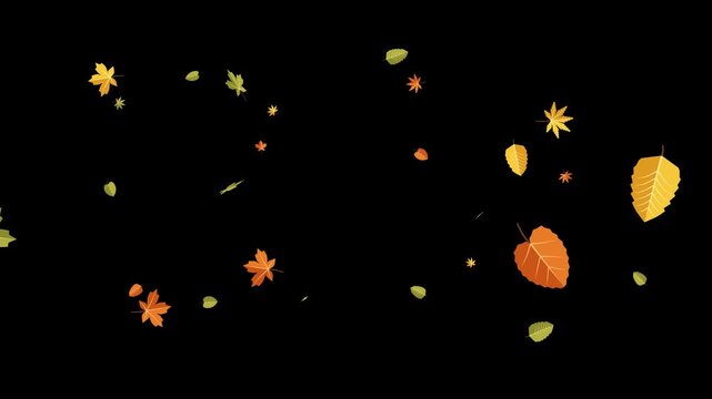 Vibrant animated autumn leaves falling with dynamic wind gusts on a transparent background movement