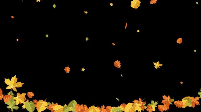 Animated fall leaves gently fluttering and accumulating to form a colorful seasonal border motion