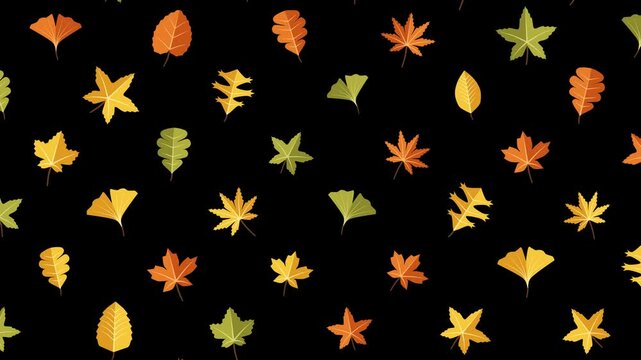 Animated autumn leaves icon pattern motion graphic with stylized fall foliage gently moving