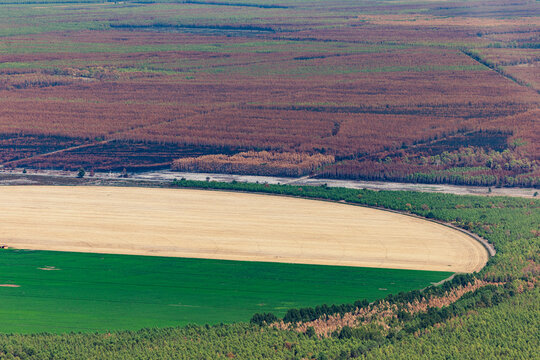 For&ecirc;ts de Gironde marqu&eacute;es par les incendies.
Vue a&eacute;rienne prise en avion des for&ecirc;ts de Gironde, avec de vastes parcelles bois&eacute;es, des terrains d&eacute;nud&eacute;s et des espaces agricoles 