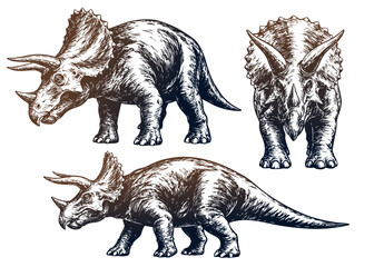 Triceratops Dinosaur Poses Hand-Drawn Illustration Set © Федор Целуйко