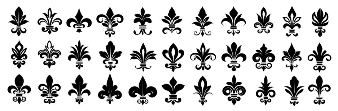 Collection of 32 black fleur-de-lis symbols on white background