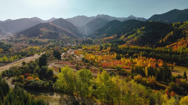 Aerial view panorama of yellow autumn forest in the mountains