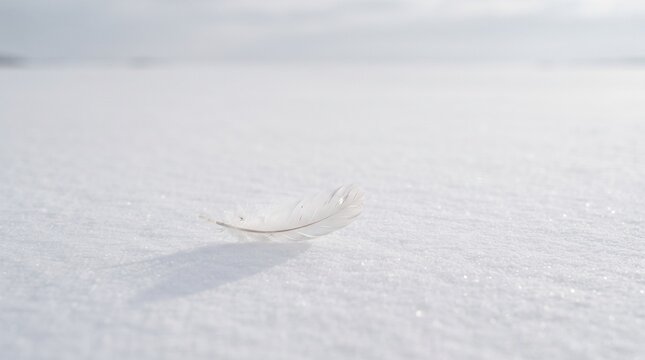 A single white feather rests on a blanket of sparkling snow in soft daylight