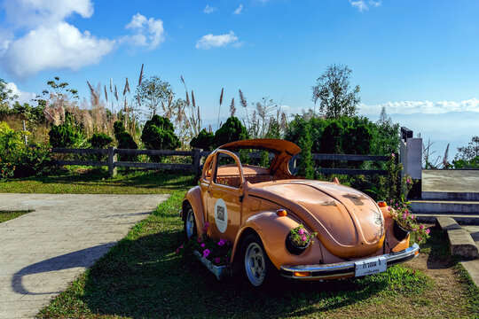 MAE HONG SON, THAILAND - DECEMBER 30, 2024 : Old Classic vintage orange Volkswagen Beetle car frame repurposed as flower planter decorated with flowers, served as photo landmark at Kiew Lom viewpoint.