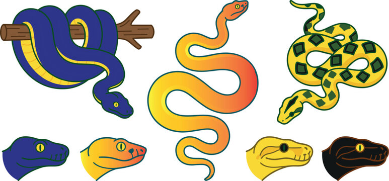 Tropical Snake Vector Illustration Set featuring Pythons, Boas, Viper Heads, and Slithering Reptiles for Nature, Wildlife, Zoo, and Mascot Graphic Designs
