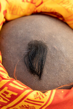 Close-up of the shaved head of a novice with one tuft of black hair framed by orange cloth with sacred script, Prayagraj, India