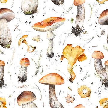 Watercolor hand drawn seamless pattern with porcini, chanterelle, bolete, fly agaric, mushrooms, moss, twigs, isolated on white background. Rustic autumn woodland design for fall and nature fabric