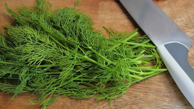 Close up of fresh dill sprigs on a wooden cutting board beside a kitchen knife, showing the fine green leaves and stems of an aromatic herb used in cooking. High quality 4k footage