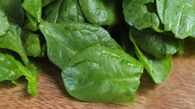 Close up of fresh spinach leaves with a glossy green surface, showing the natural texture of leafy greens used in salads and cooking. High quality 4k footage