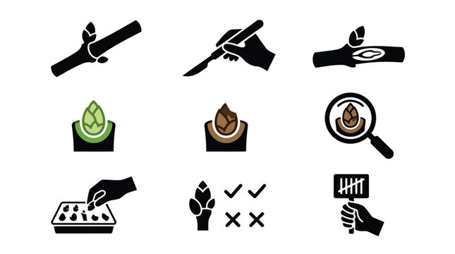Set of forestry research and plant propagation vector icons isolated on white background