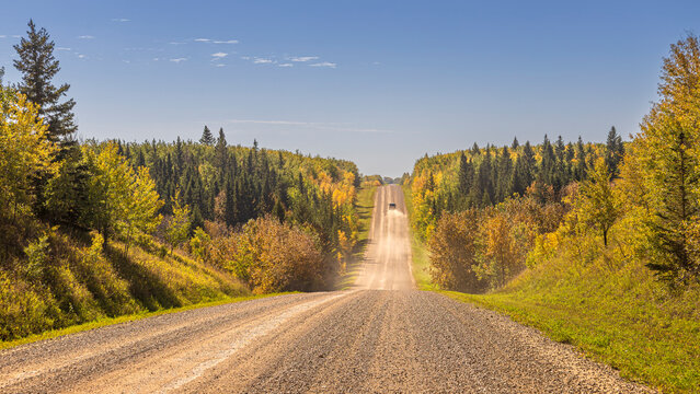 Gravel Road Through a Golden Autumn Forest in Saskatchewan, Canada