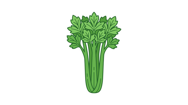 Fresh green celery stalks with leaves flat vector illustration isolated on white background