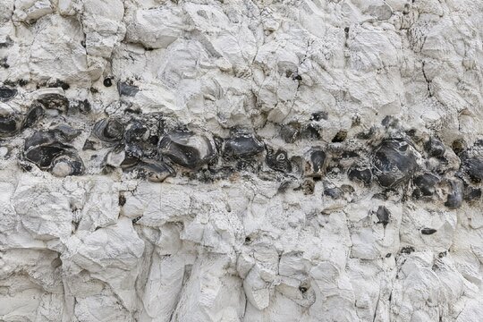 White chalk cliff face with band of flint nodules