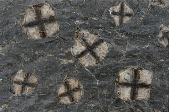 Chiastolite crosses in polished dark slate