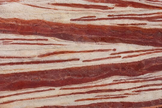 Striped zebra rock siltstone polished surface