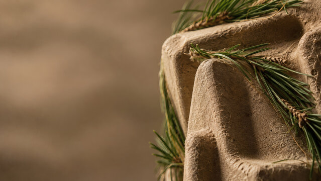 Green pine needles on molded paper pulp packaging symbolizing eco friendly biodegradable material