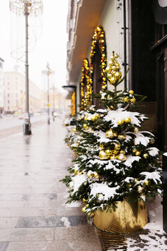 Winter Scene With Decorated Trees Along a City Street