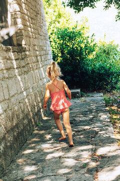 Summer Days in the Garden
