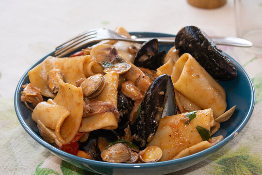 seafood paccheri pasta mussels clams or pasta allo scoglio