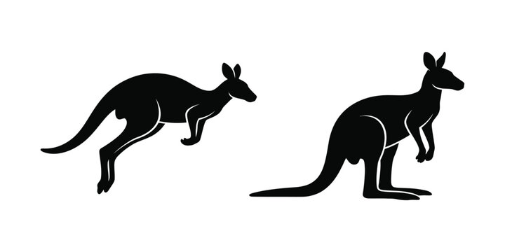 Two kangaroos in contrasting poses a jumping kangaroo and a standing kangaroo