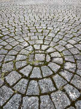 circular cobblestone pavement texture background, gray granite stones arranged with green moss, soft focus and copy space, rustic urban landscaping