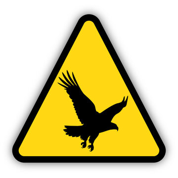Yellow triangle warning sign for bird of prey in the area. Transparent background.