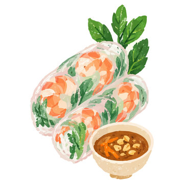 Hand Draw Style Vietnamese Fresh Shrimp Spring Rolls with Dipping Sauce Illustration